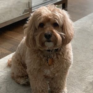 Meet your Posher, Stefanie